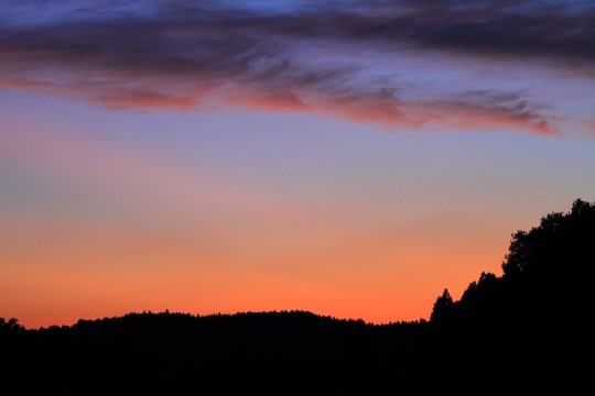 IMG_7168-540x360.jpg.pagespeed.ce.GsB-zd_g7I